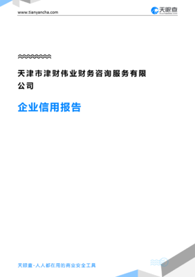 天津市津财伟业财务咨询服务企业信用报告-天眼查